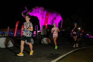 BIB: 
                            <button type="button" onclick="openModal(26534306)" class="btn btn-primary btn-sm float-right btn-popup" data-toggle="modal" data-target=".modal-high-quality">
                        <i class="fas fa-shopping-cart"></i> Add to Cart
                    </button>
                                            <button type="button" onclick="isThisMe(26534306, true)" class="btn btn-success btn-sm float-right btn-popup btn-isme hidden" data-toggle="tooltip" data-placement="bottom" title="นี่คือรูปของคุณใช่ไหม คลิกที่นี่เพื่อเอาเข้าอัลบั้ม">
                        <i class="fas fa-plus"></i> Add to album
                    </button>
                    <button type="button" onclick="isThisMe(26534306, false)" class="btn btn-warning btn-sm float-right btn-popup btn-isnotme hidden">
                        <i class="fas fa-ban"></i> Remove from album
                    </button>